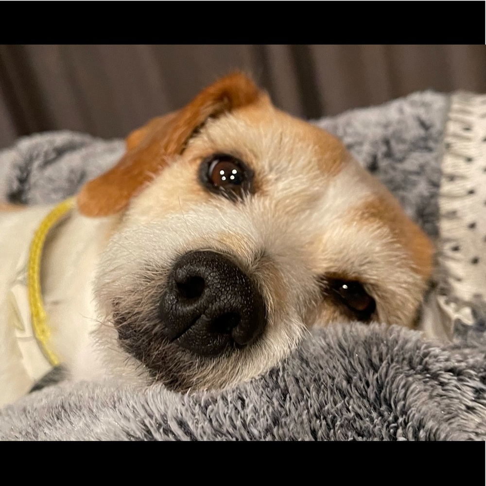 Meet your Posher, Ryoko